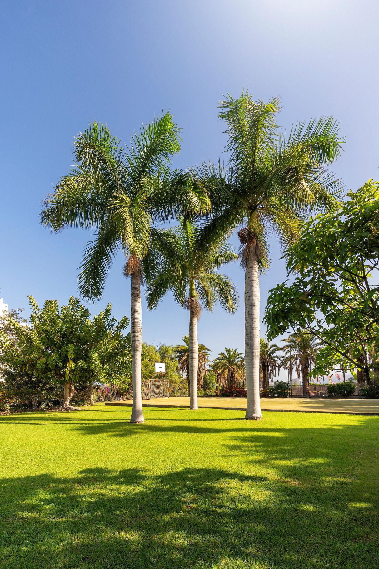 Precise Tenerife Hotell