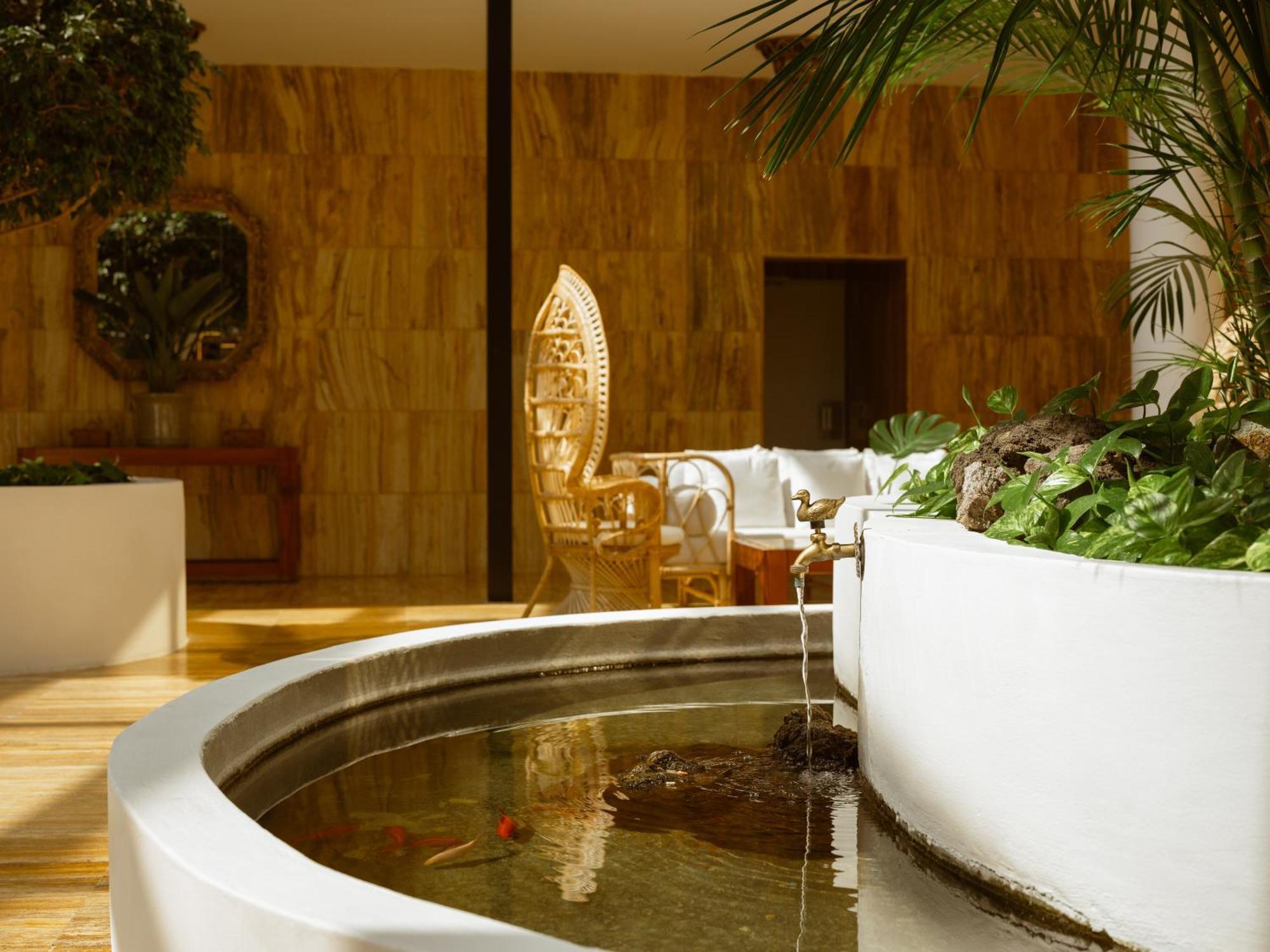 Hotell Precise Tenerife Puerto de la Cruz (Tenerife)
